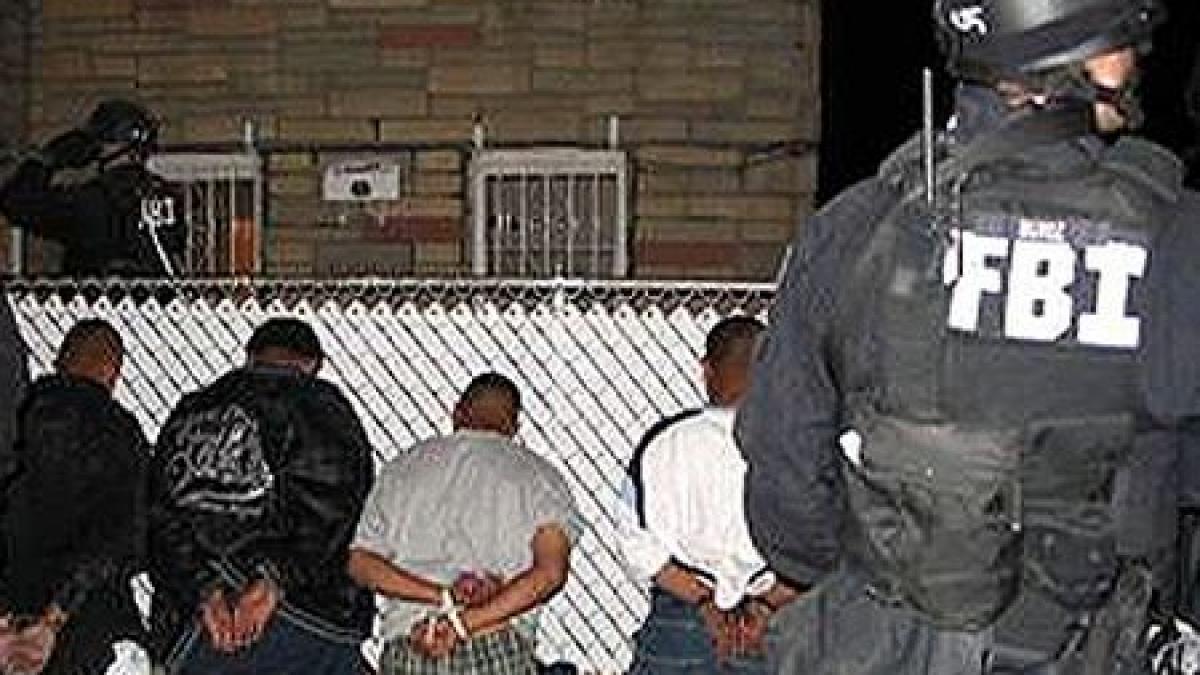 actiune de amploare a fbi peste 100 de mafioti americani au fost arestati