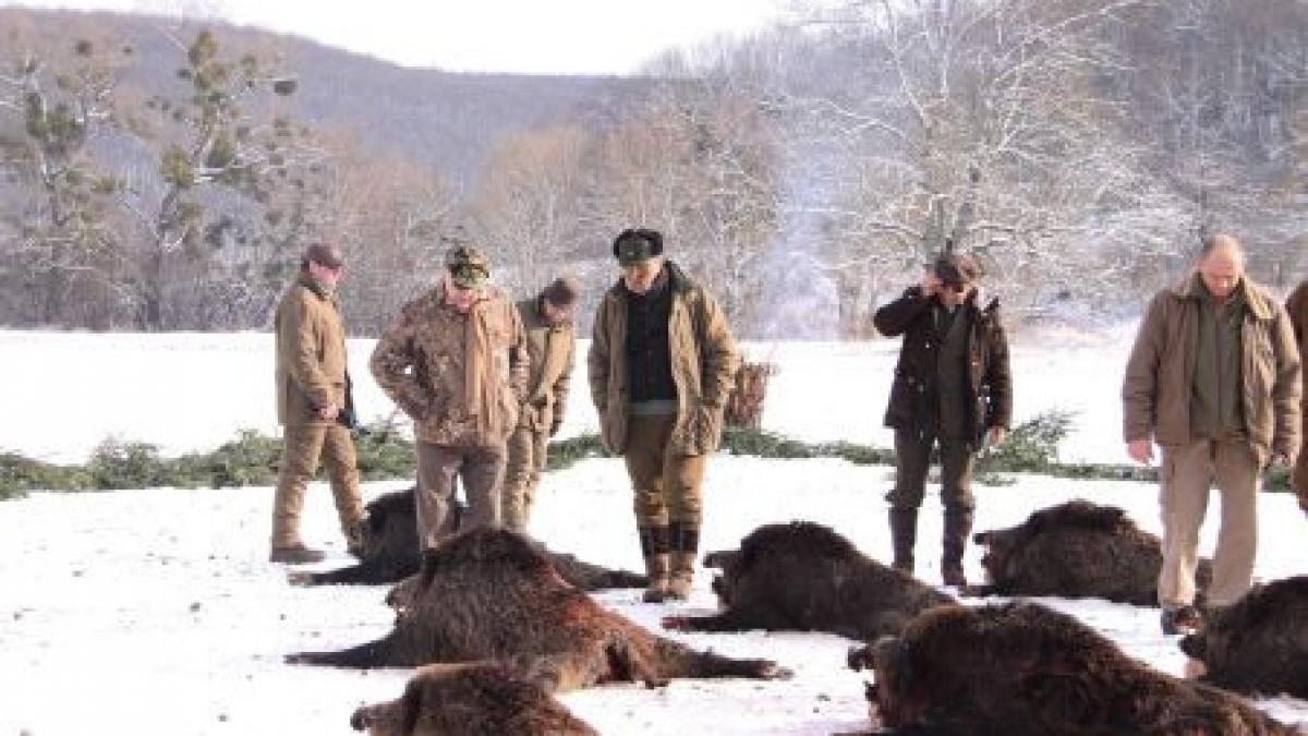 vanatoarea de la balc