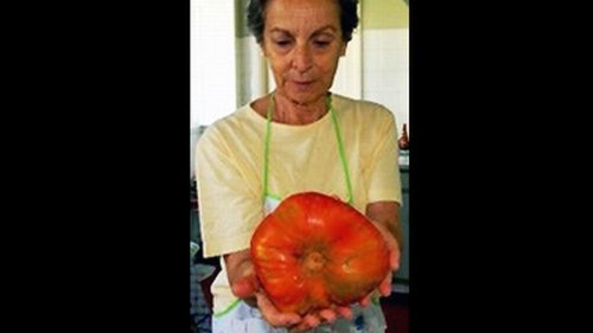 unde mai gasesti rosii cu gust in romania