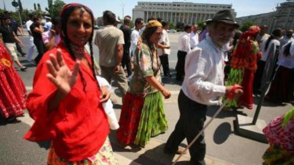 inlocuirea termenului rom cu tigan avizata de comisii din senat