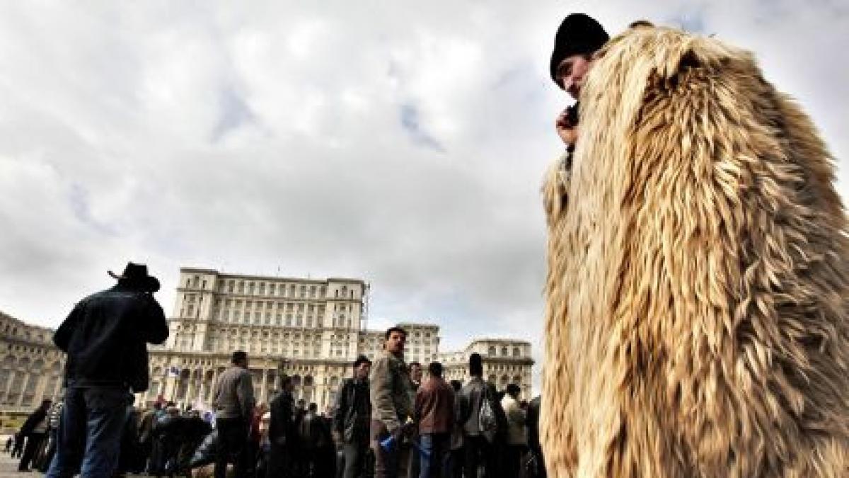 ciobanul de munte meserie recunoscuta oficial in romania