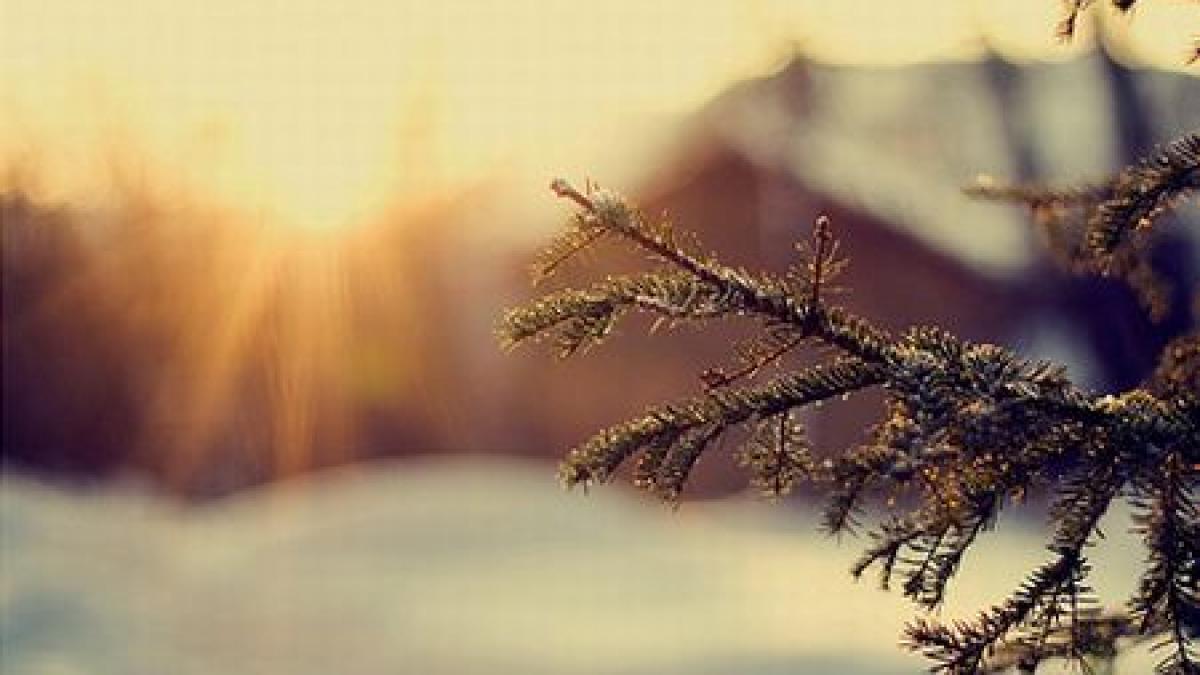 temperaturile urca pana la 15 grade celsius vezi prognoza meteo pentru urmatoarele zile