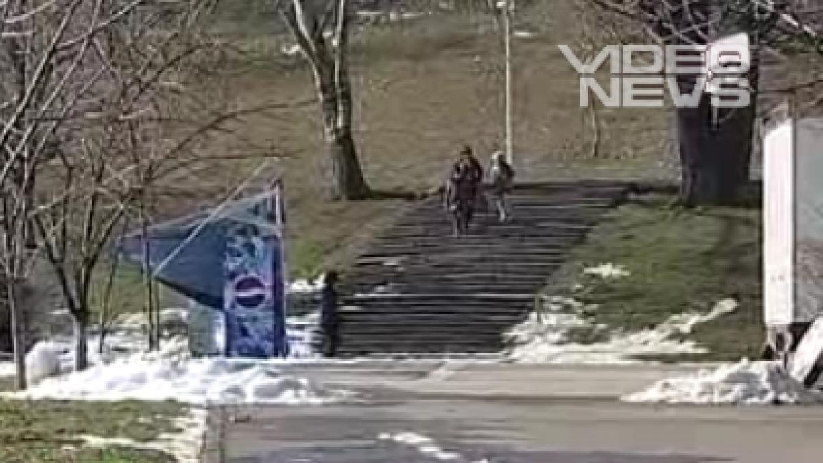 primaria capitalei reface aleile din cele mai mari parcuri bucurestene lucrarile vor costa 16