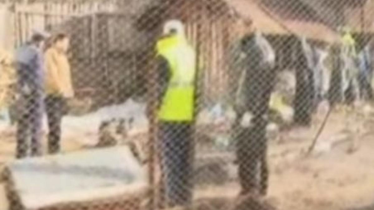 crima socanta in arges un baiat de 16 ani a ucis in bataie un batran apoi s a dus la culcare