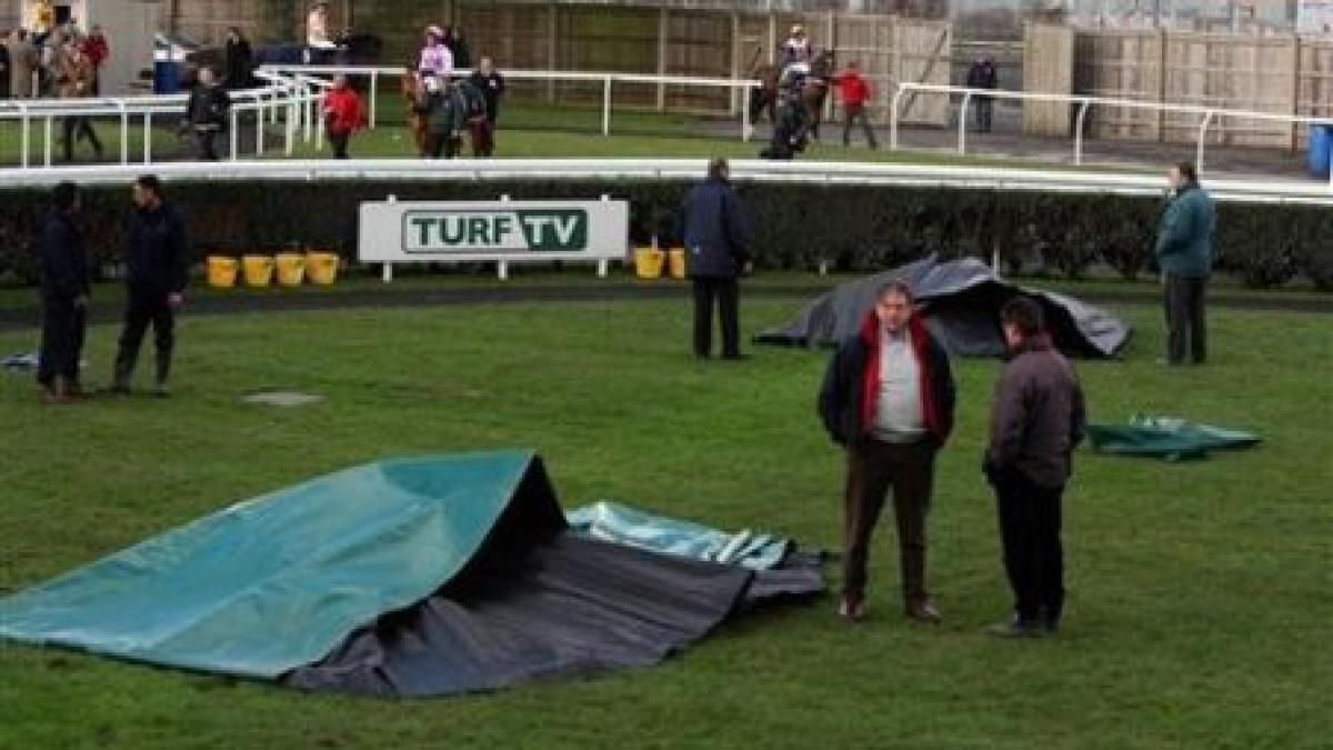 imagini socante doi cai mor electrocutati in timpul unui concurs