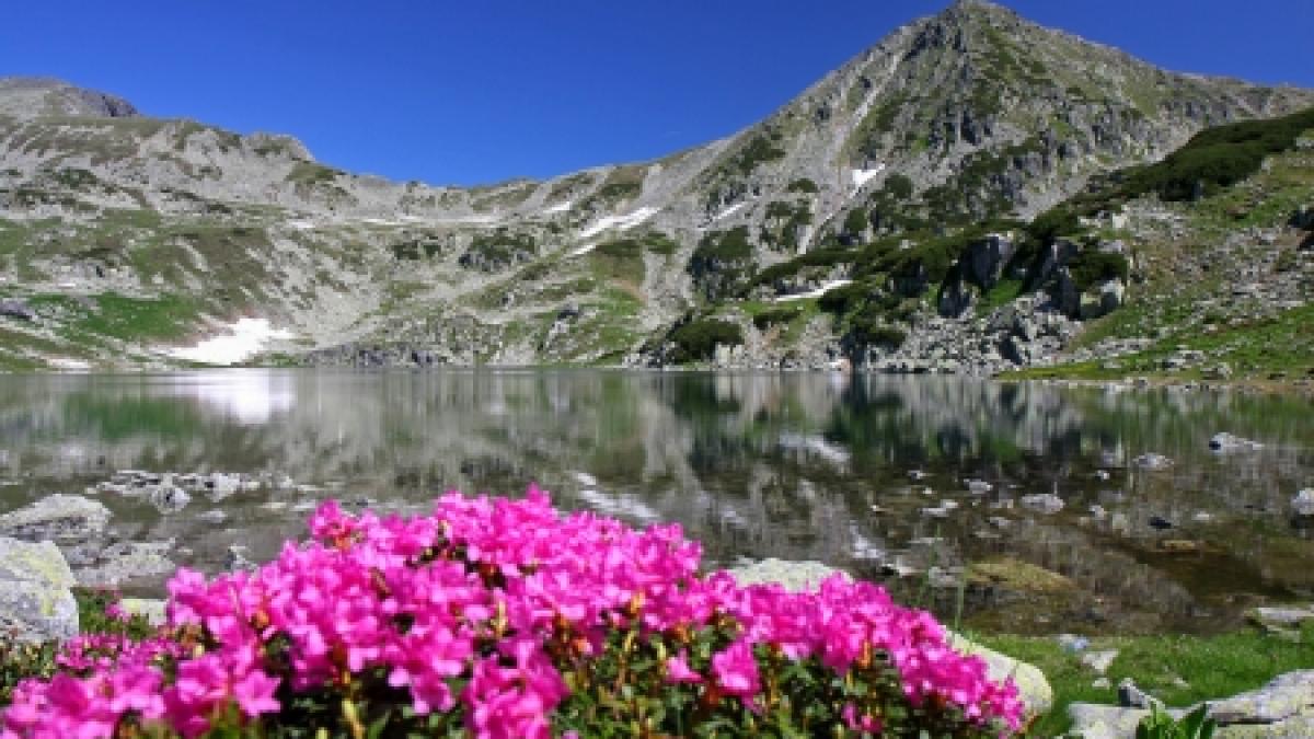 tot ce e de stat sta primul proiect privat pentru promovarea turismului romanesc