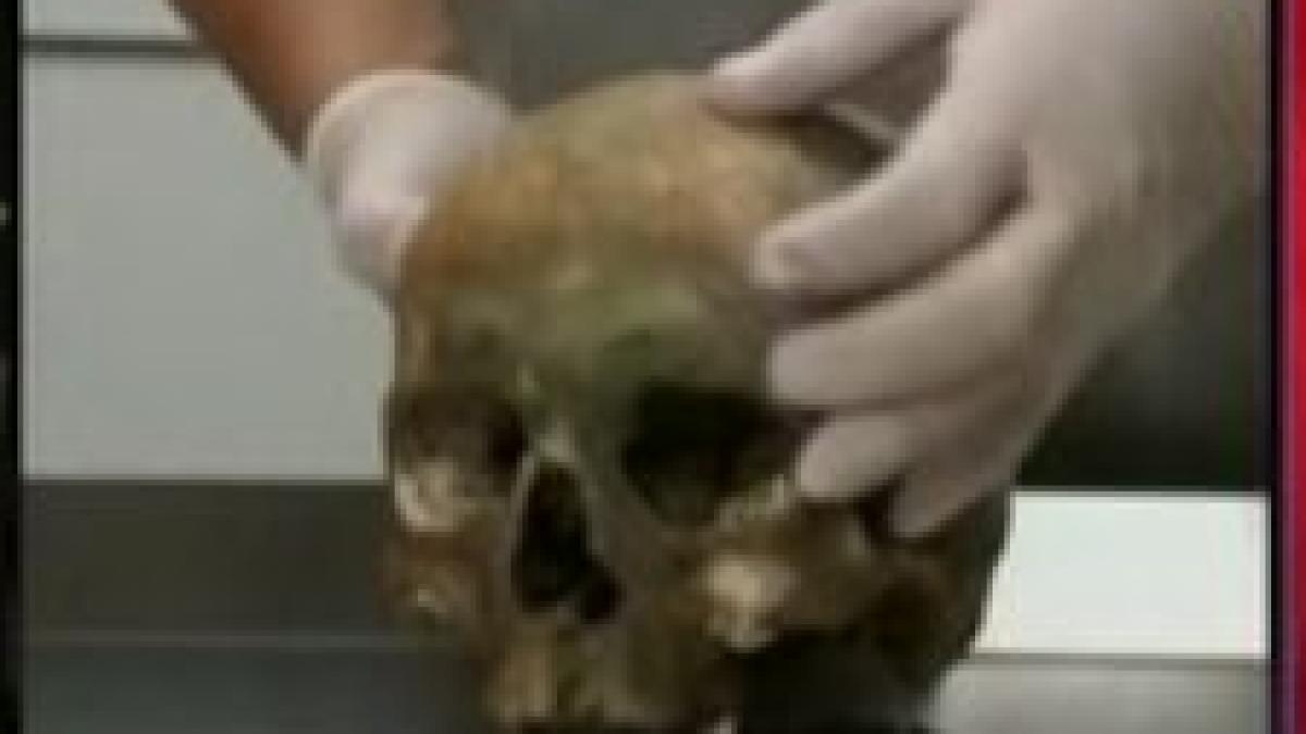 elodia ghinescu face o victima seful iml cluj destituit pentru ca nu a folosit un aparat de