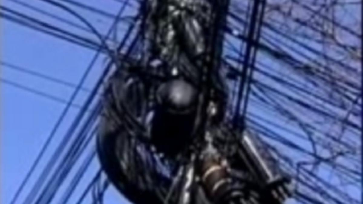 cablurile de telefonie ale palatului cotroceni furate de cinci barbati hotii au fost prinsi