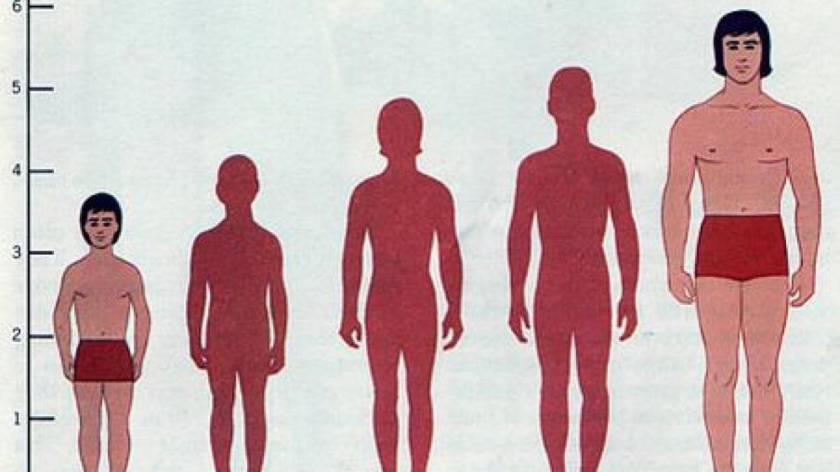 studiu romanii au crescut cu 6 centimetri in inaltime in ultimii 30 de ani