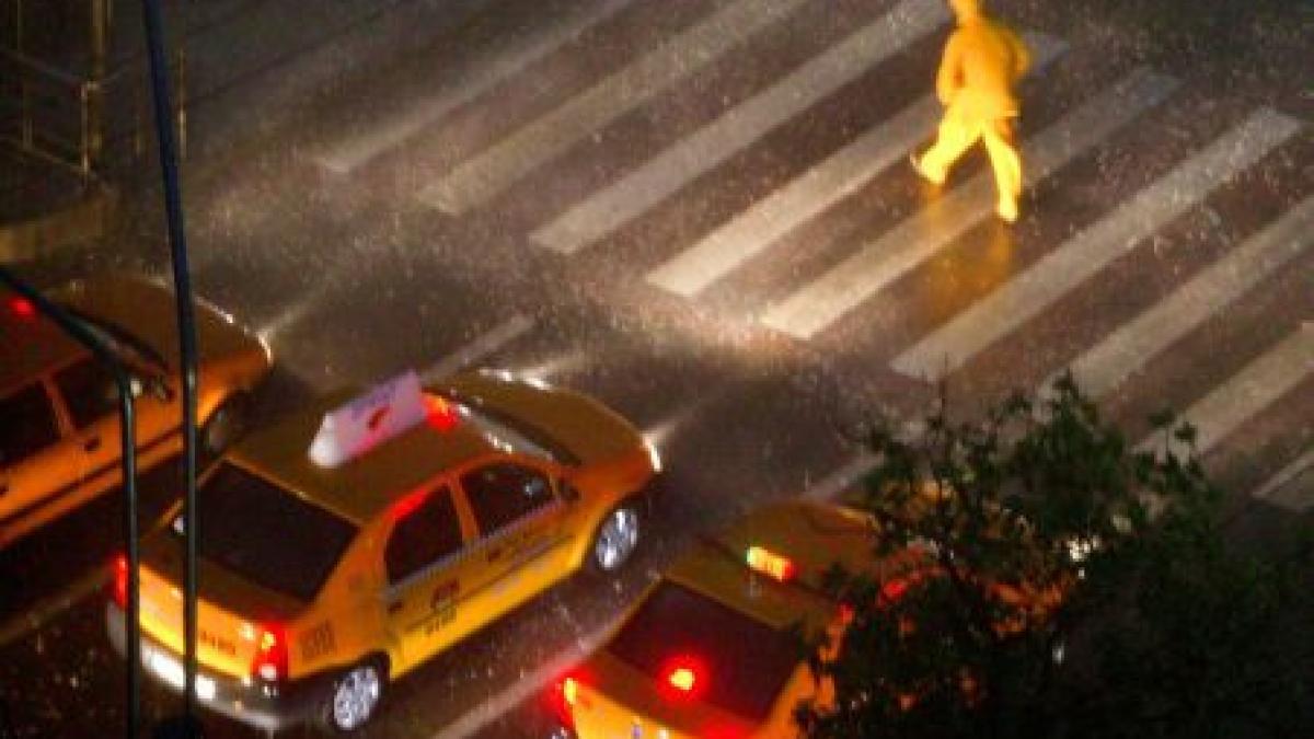 taximetristii folosesc maimuta cu telecomanda pentru a fura de la clienti