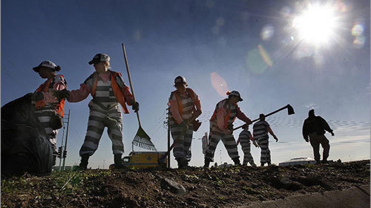 inedit inchisorile din romania imprumuta detinuti firmelor care au nevoie de muncitori