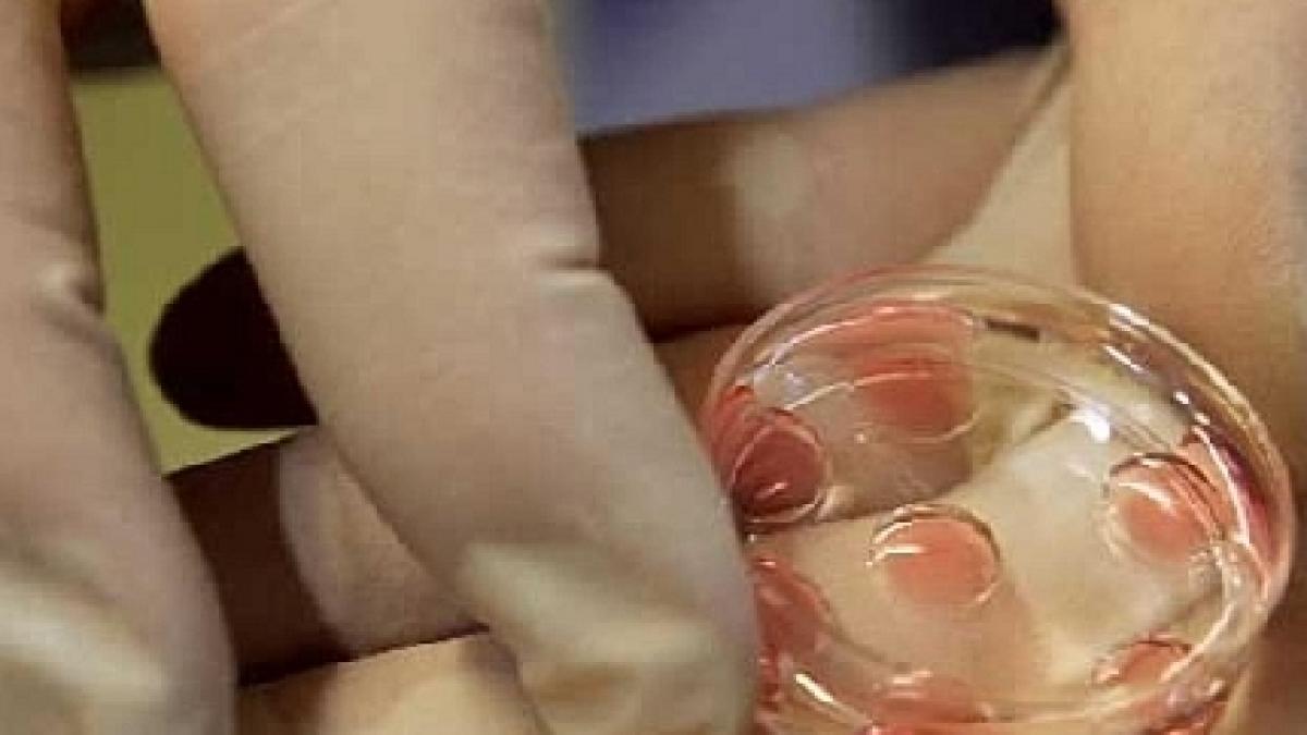 presa externa romania se afla printre cei mai mari exportatori de ovule