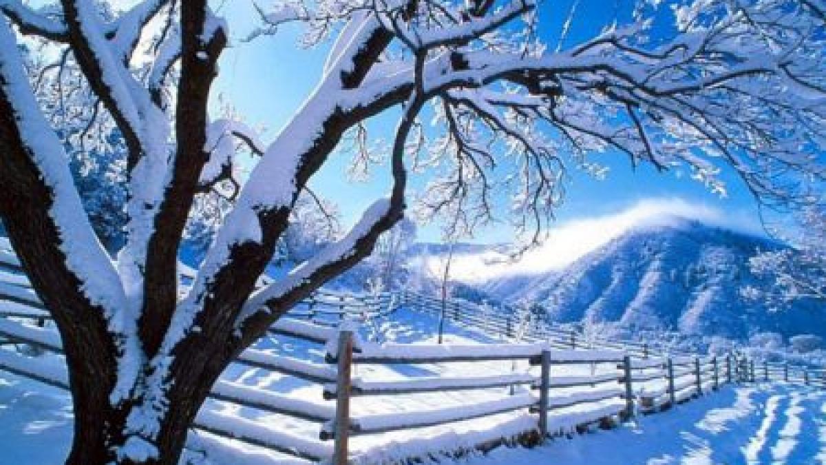 ninsorile continua in intreaga tara vezi prognoza meteo