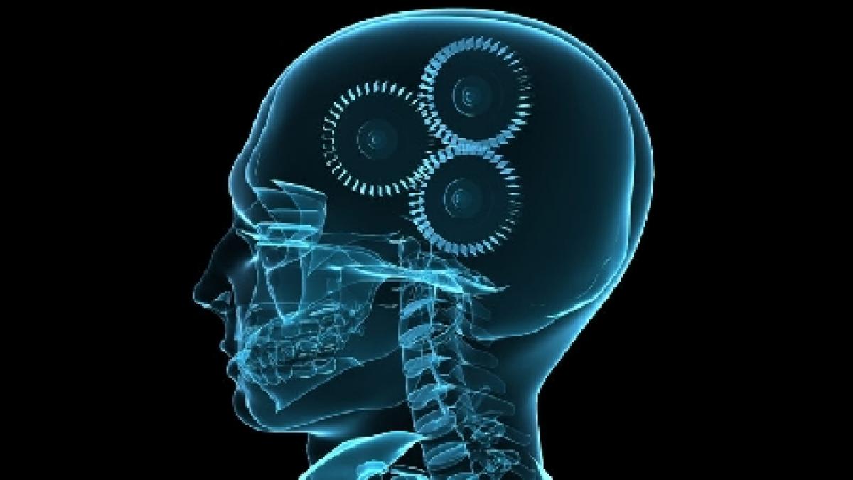 psihoterapia un serviciu medical nerecunoscut de casa nationala de asigurari de sanatate