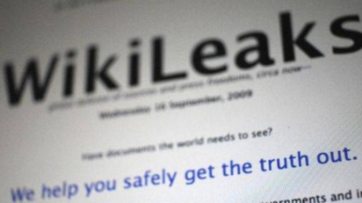 wikileaks scoate la vanzare tricouri sepci si cani personalizate