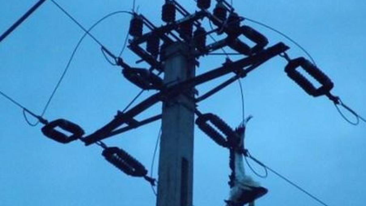 tragedie la carnavalul de la rio 16 oameni au murit electrocutati de la un cablu de inalta tensiune