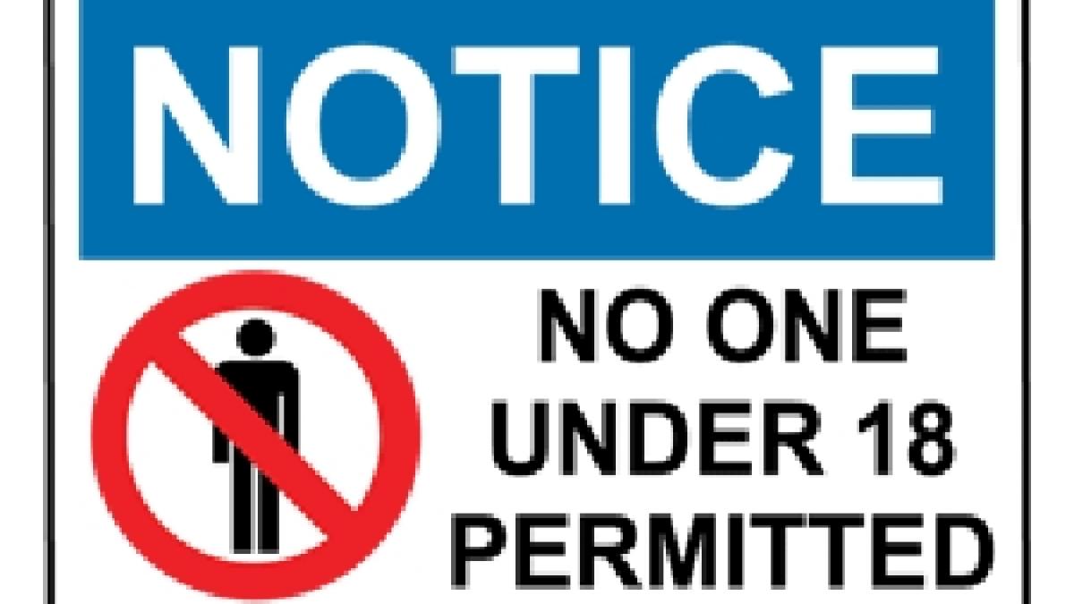 legea pentru combaterea pornografiei amanata din cauza polemicilor privitoare la definitia