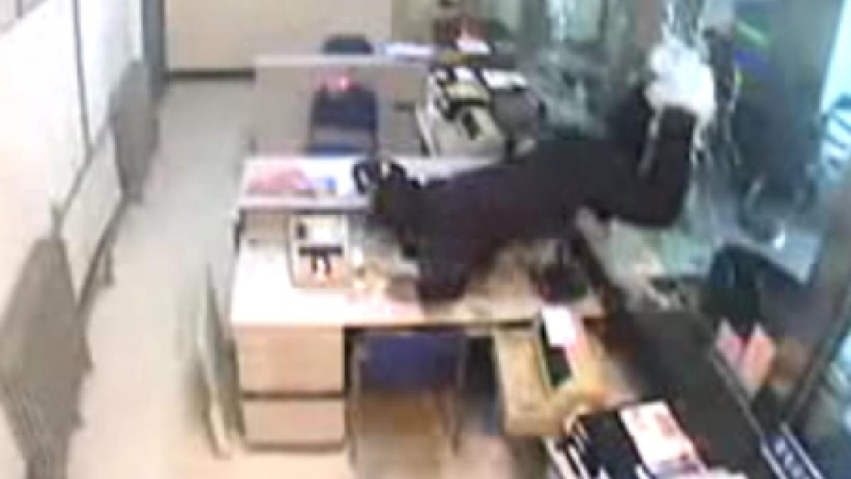 un hot nepriceput scapa de politie datorita unui geam securizat buclucas