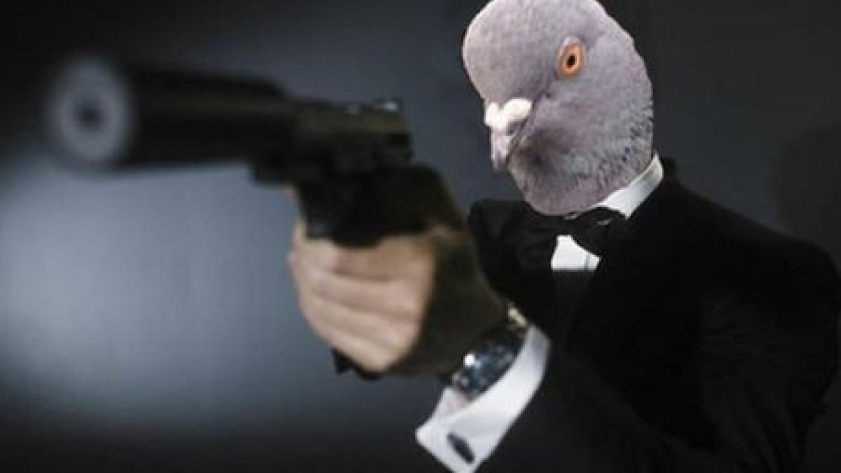 autoritatile britanice vor atrena pasari spion pentru securizarea strazilor