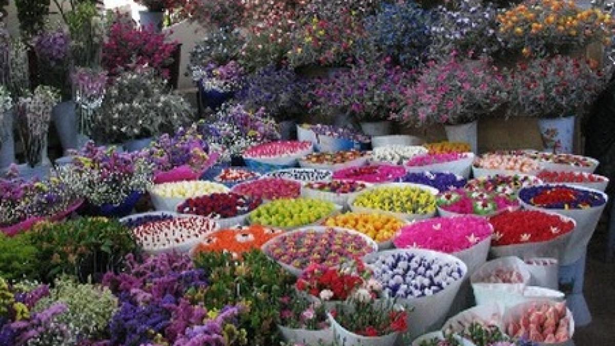 ijp bacau a confiscat 2 000 de fire de flori