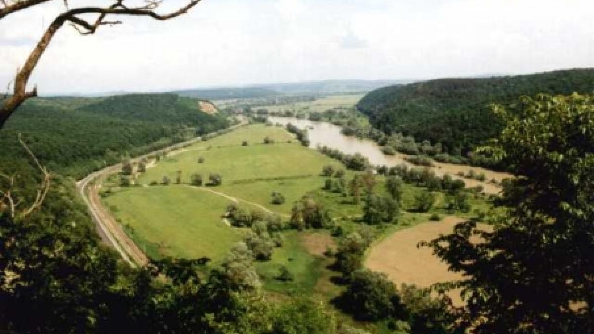 urmasii unui nobil maghiar revendica padurea de pe valea muresului