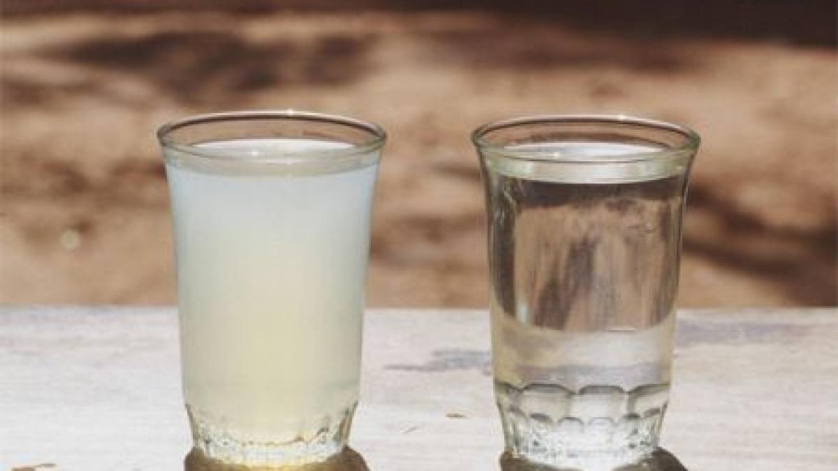 consatenii elenei udrea beau apa infestata cu nitrati si nitriti