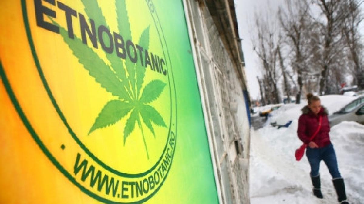 spaga din vise un adevarat cosmar pentru trei politisti corupti din capitala