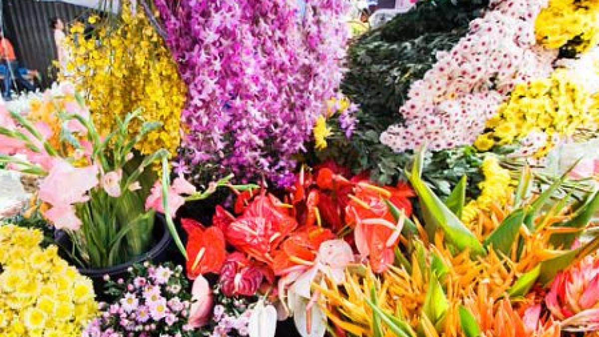 pietele de flori din constanta controlate de garda financiara