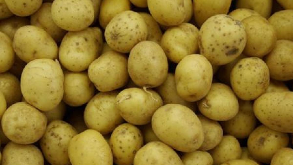 cartofii au ajuns mai scumpi decat fructele din import