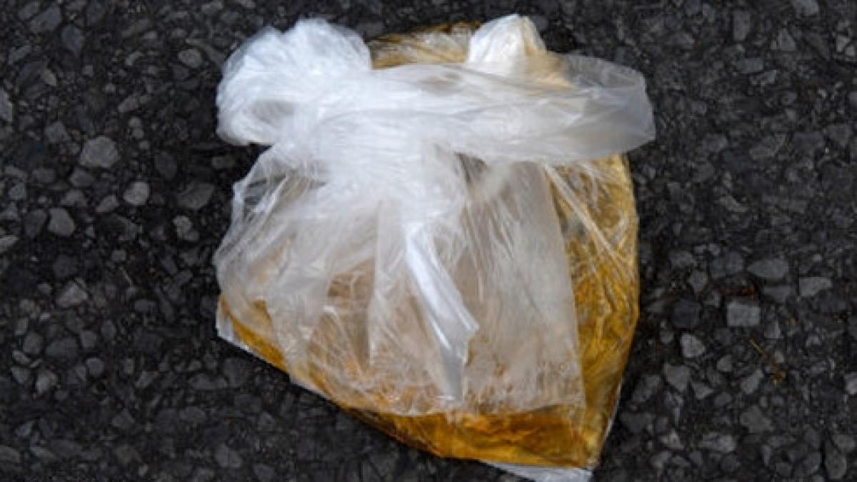 o punga cu urina a ajutat la prinderea unui hot