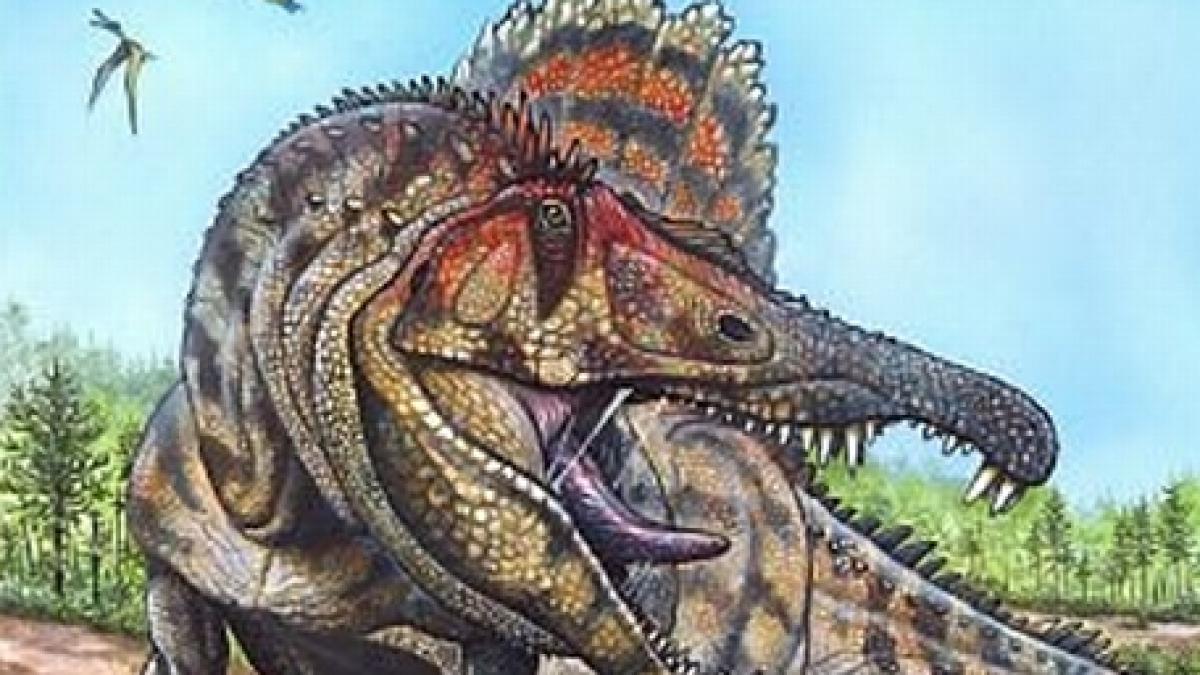 cel mai mare dinozaur carnivor brazilian a fost descoperit recent