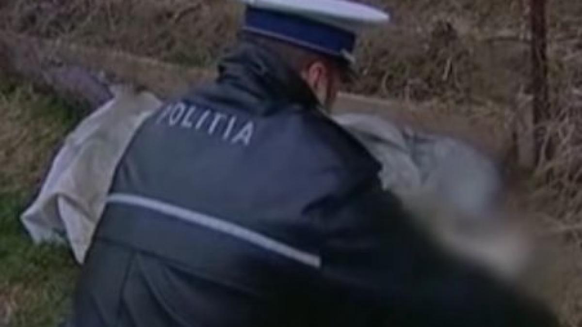 imagini socante zeci de caini morti gasiti pe un camp din giurgiu