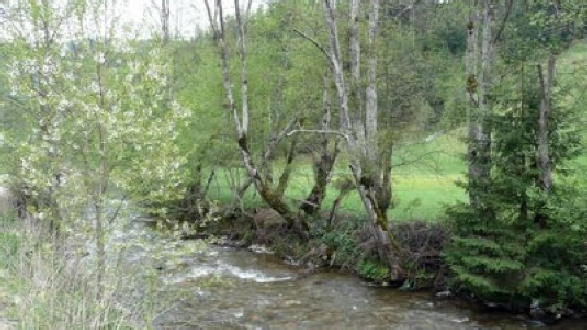 romania pe ultimele locuri in europa la resursele de apa