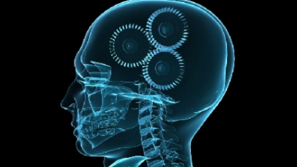 proiect legislativ politicienii trebuie sa consulte un psiholog guvernul a respins legea