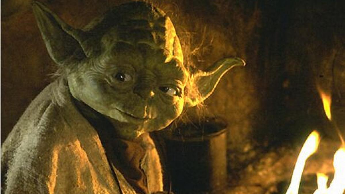 maestrul yoda exista traieste intr o padure tropicala si s a lasat fotografiat