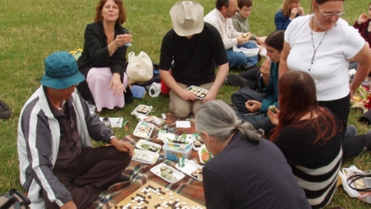 legea picnicului a fost depusa la parlament in dezbaterea senatului