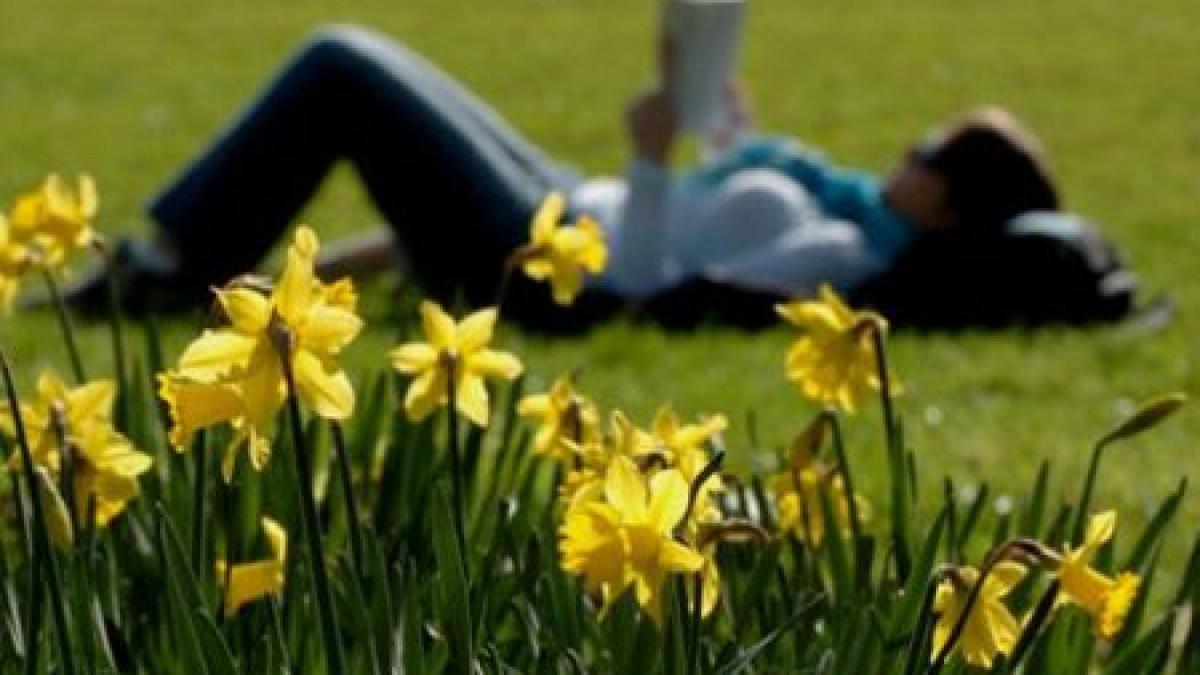 weekendul incepe cu 21 de grade vezi prognoza meteo