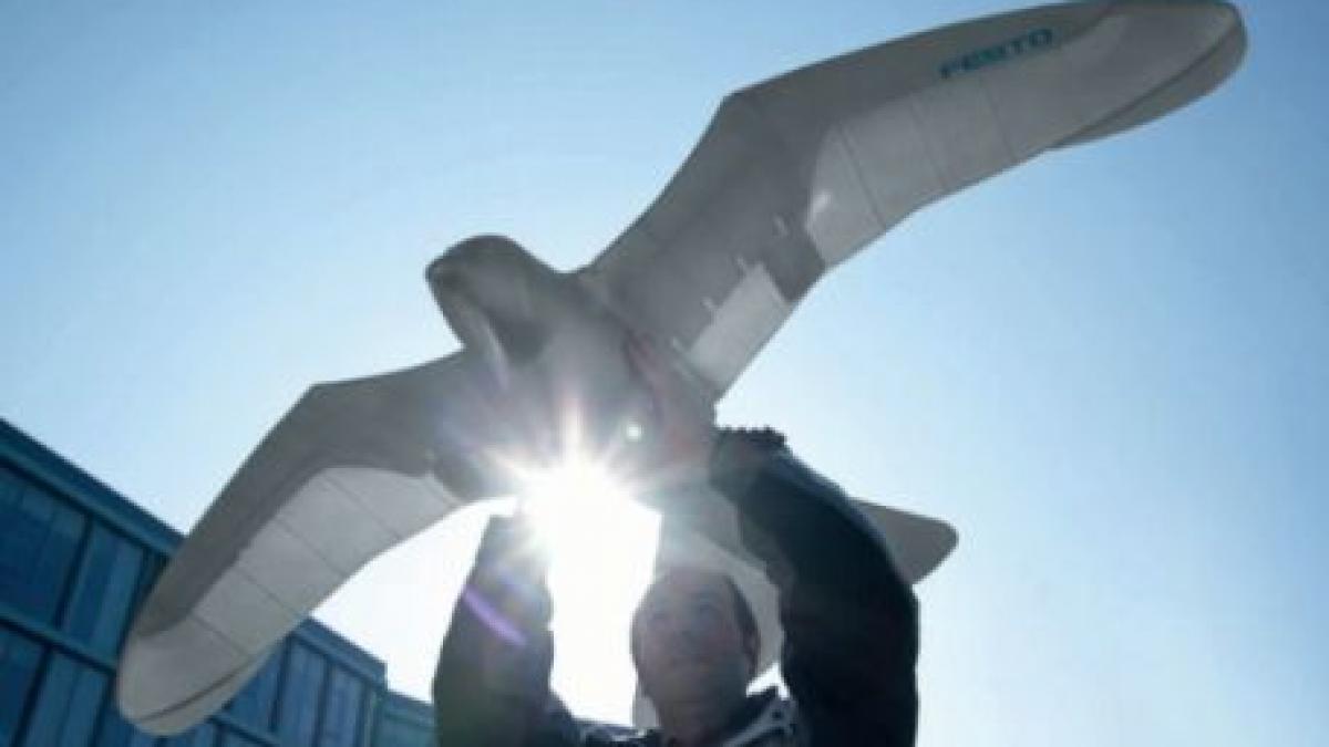 smart bird prima pasare robot din lume prezentata de o companie germana