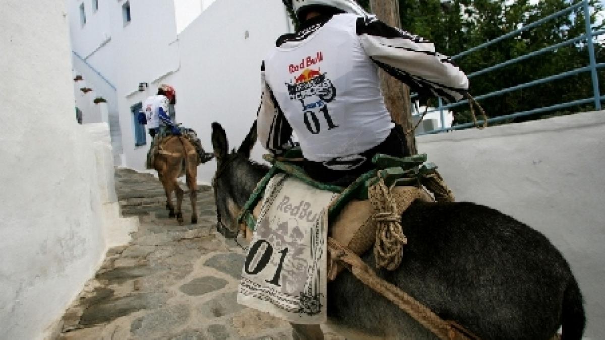 o romanca va participa la un concurs de calarie pe magari