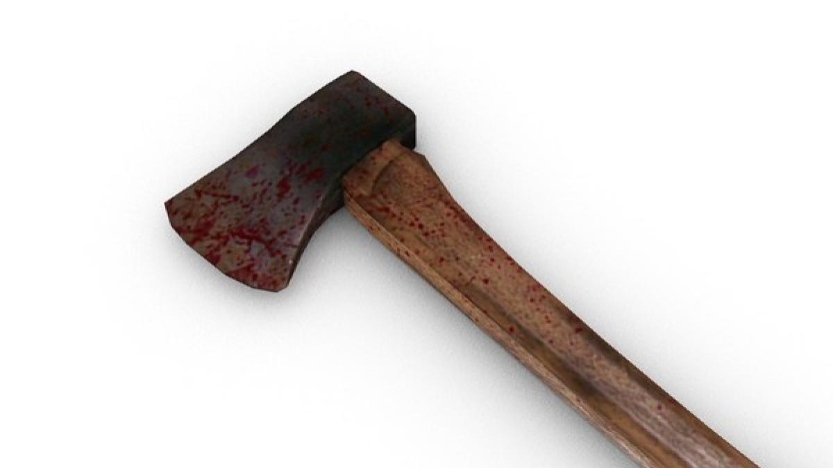 un jucator de rugby din africa de sud a macelarit trei barbati care i au violat fiica