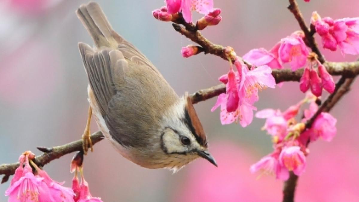 weekendul aduce vreme prea calda pentru aceasta perioada vezi prognoza meteo