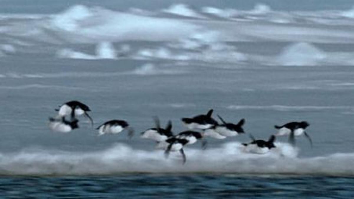 cele mai bune farse de 1 aprilie aparute in presa internationala