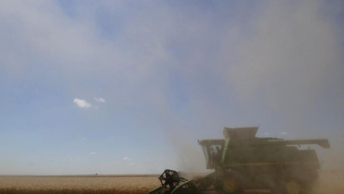 candva granarul europei romania are astazi cele mai reduse productii la grau porumb si cartofi