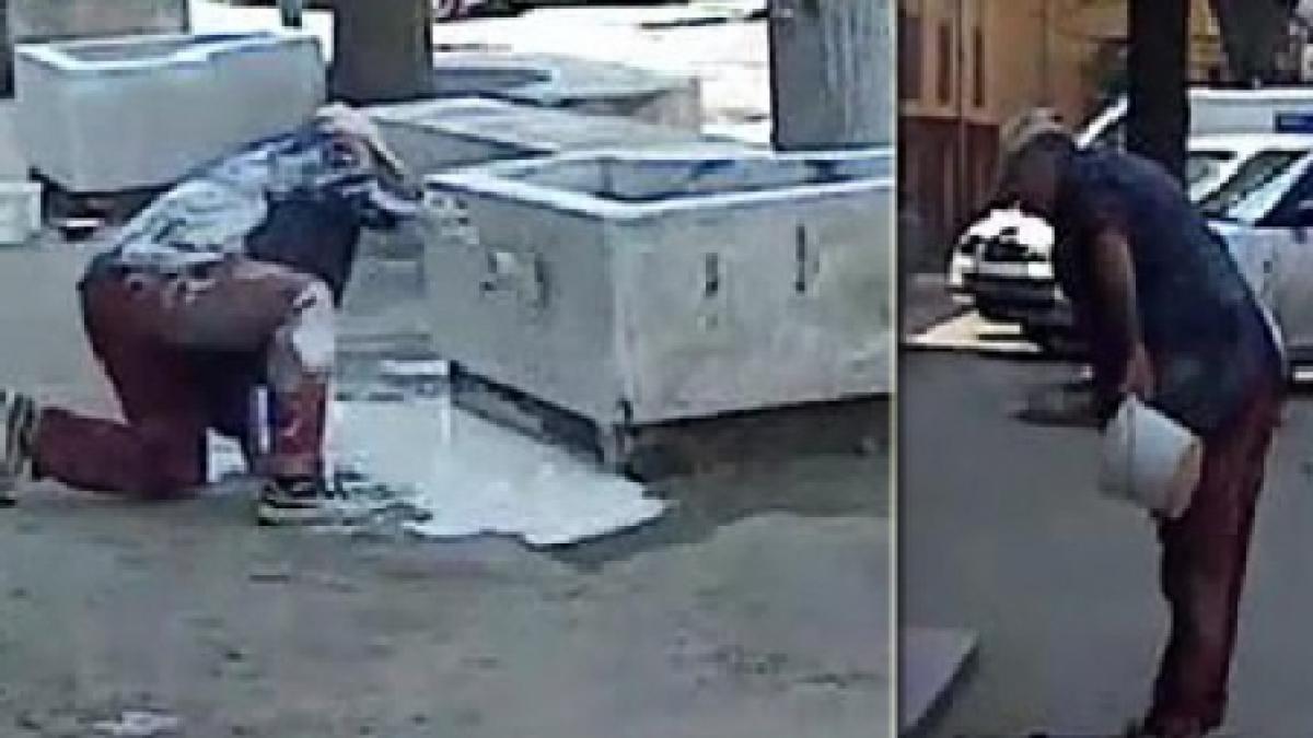 timisoara un zugrav turmentat face senzatie printre trecatori