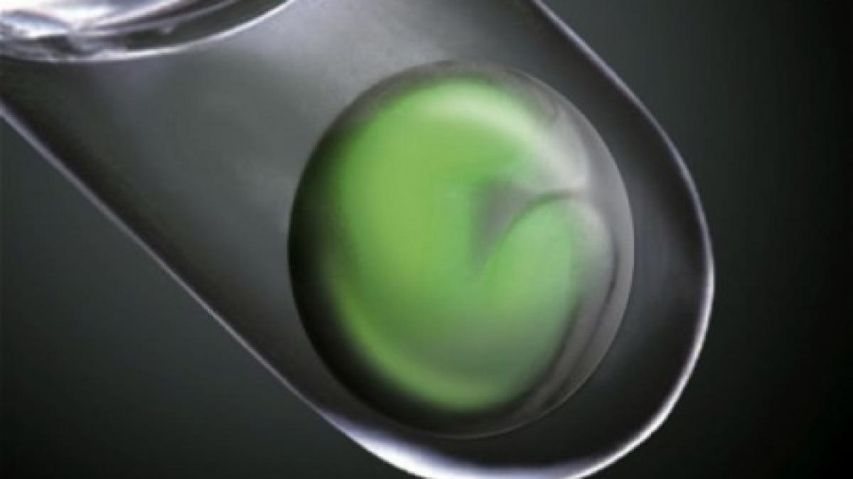 oamenii de stiinta au creat un ochi embrional intr o eprubeta