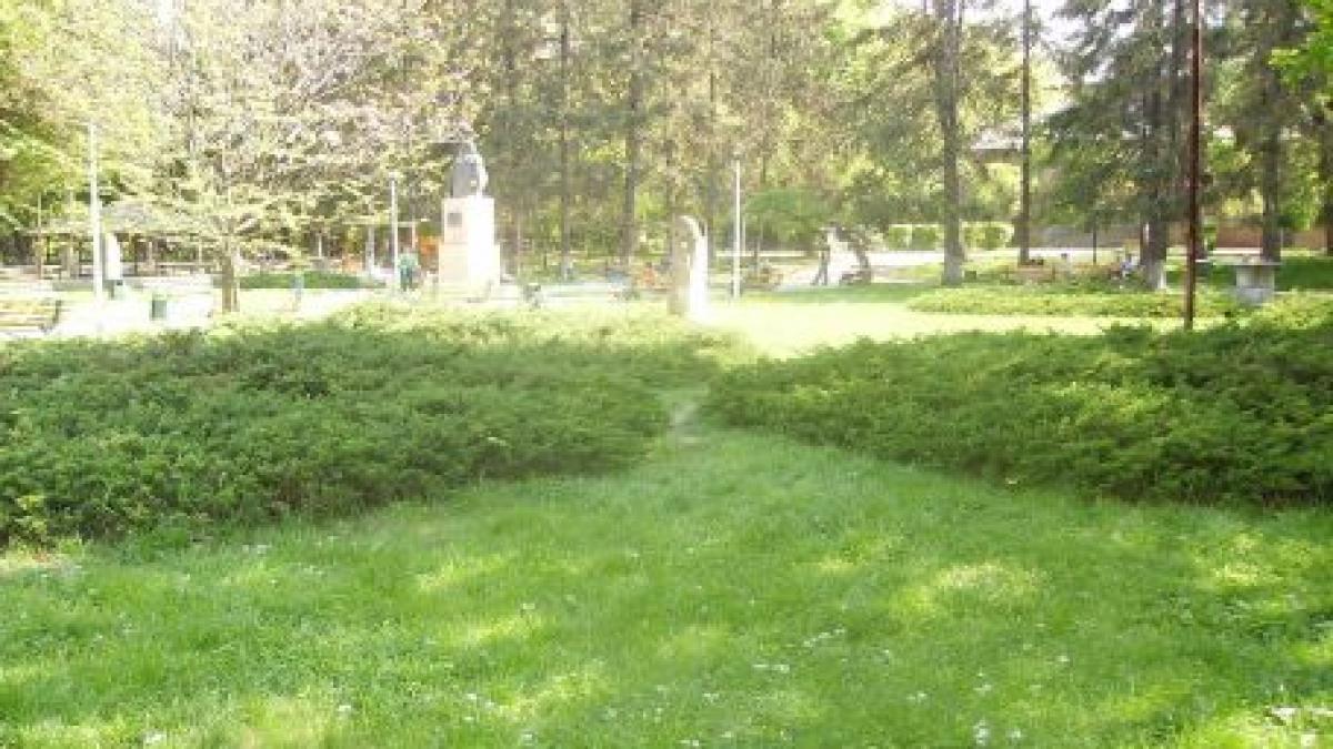un barbat din gaesti bolnav psihic a incercat sa violeze o tanara in parc