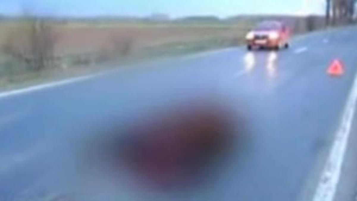 un cal a provocat doua accidente pe dn6 animalul a murit iar doi oameni au fost raniti