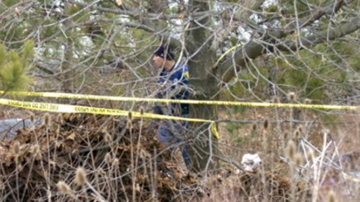 adolescent legat si abandonat in padure de niste prieteni