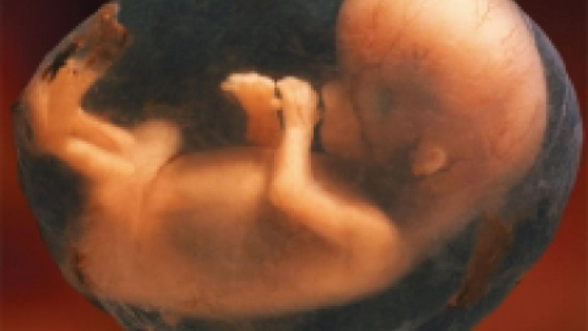 maternitatea giulesti tanara lasata sa avorteze singura medicului nu i permitea religia sa o ajute