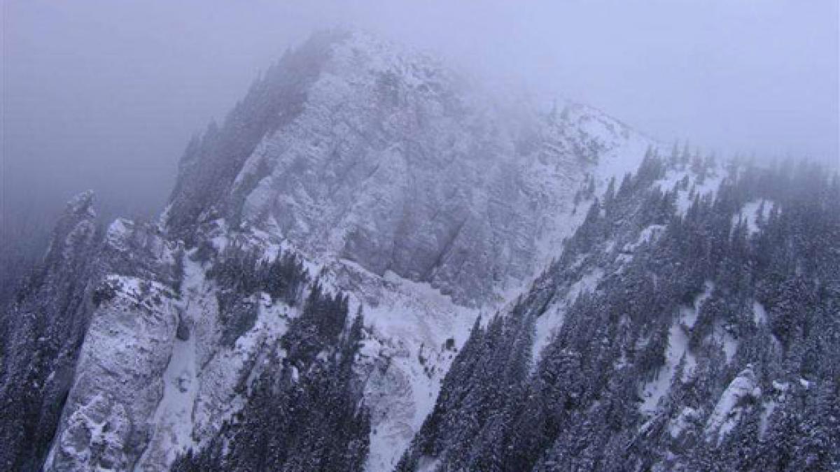 particule radioactive de la fukushima descoperite in zapada din muntii ceahlau